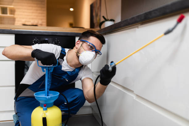 Best Bed Bug Extermination  in Lake Tapps, WA