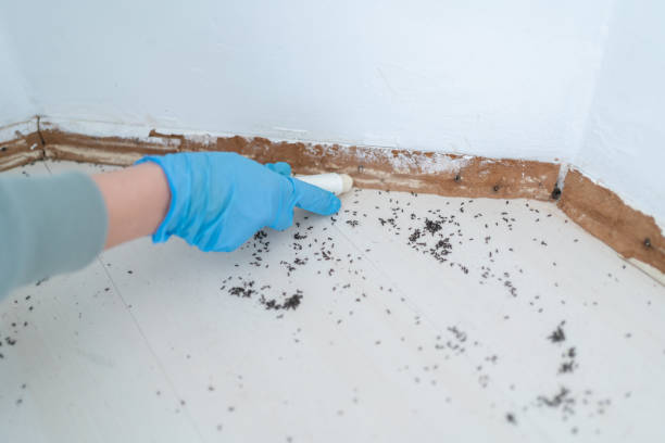 Lake Tapps, WA Pest Control Company